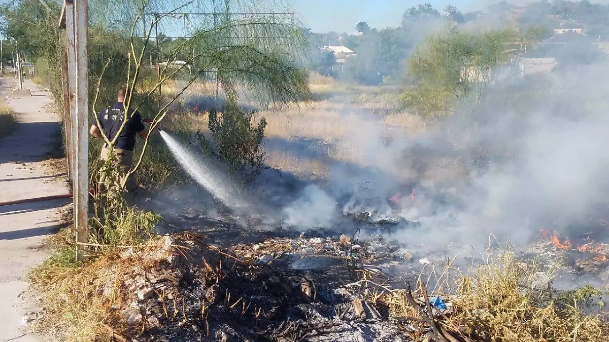 Bomberos en incendio de maleza (3)